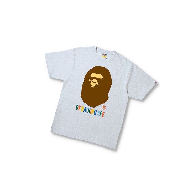 Grey A BATHING APE Colors By Bathing Ape Tee Short Sleeve Men's T Shirts | QF1084957